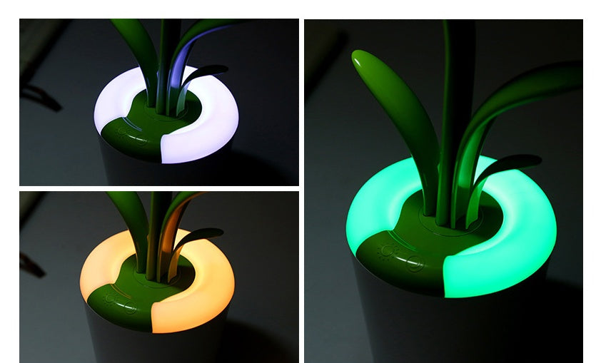 Modern Desk Lights USB LED Table Lamp