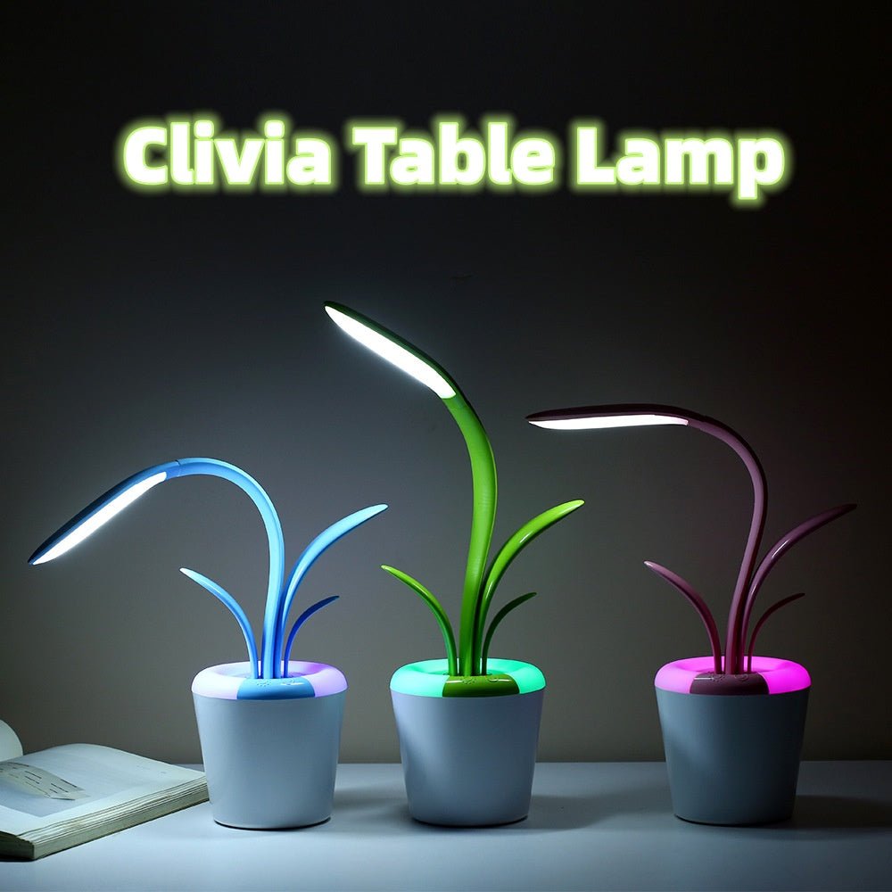 Modern Desk Lights USB  LED Table Lamp